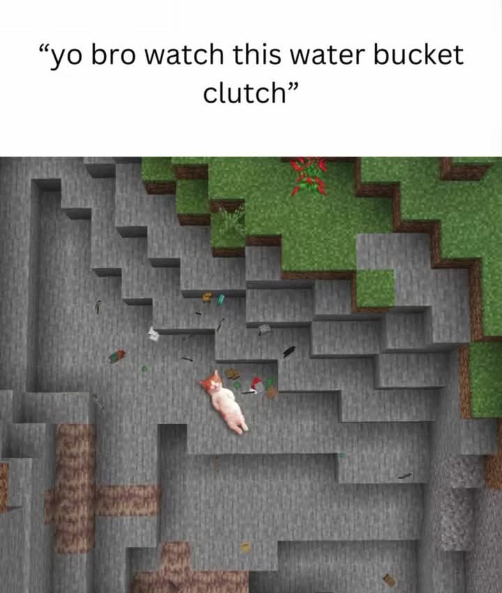 EXPLORECATS's tweet image. 