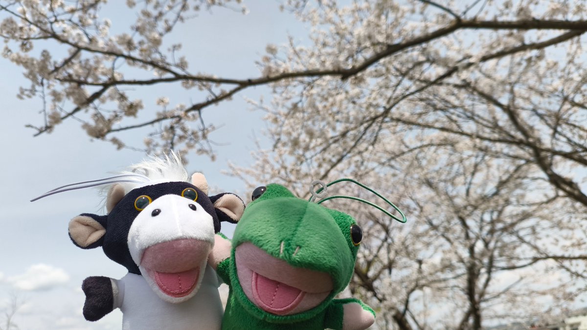 tail03's tweet photo. この間の休日に1人ドライブ花見。
次の休暇まで持つかなぁ?

あっ!パペさん、見てる〜👋

#花見 
#パペットマペット
#うしくん
#カエルくん https://t.co/1Ycb0DOfR2