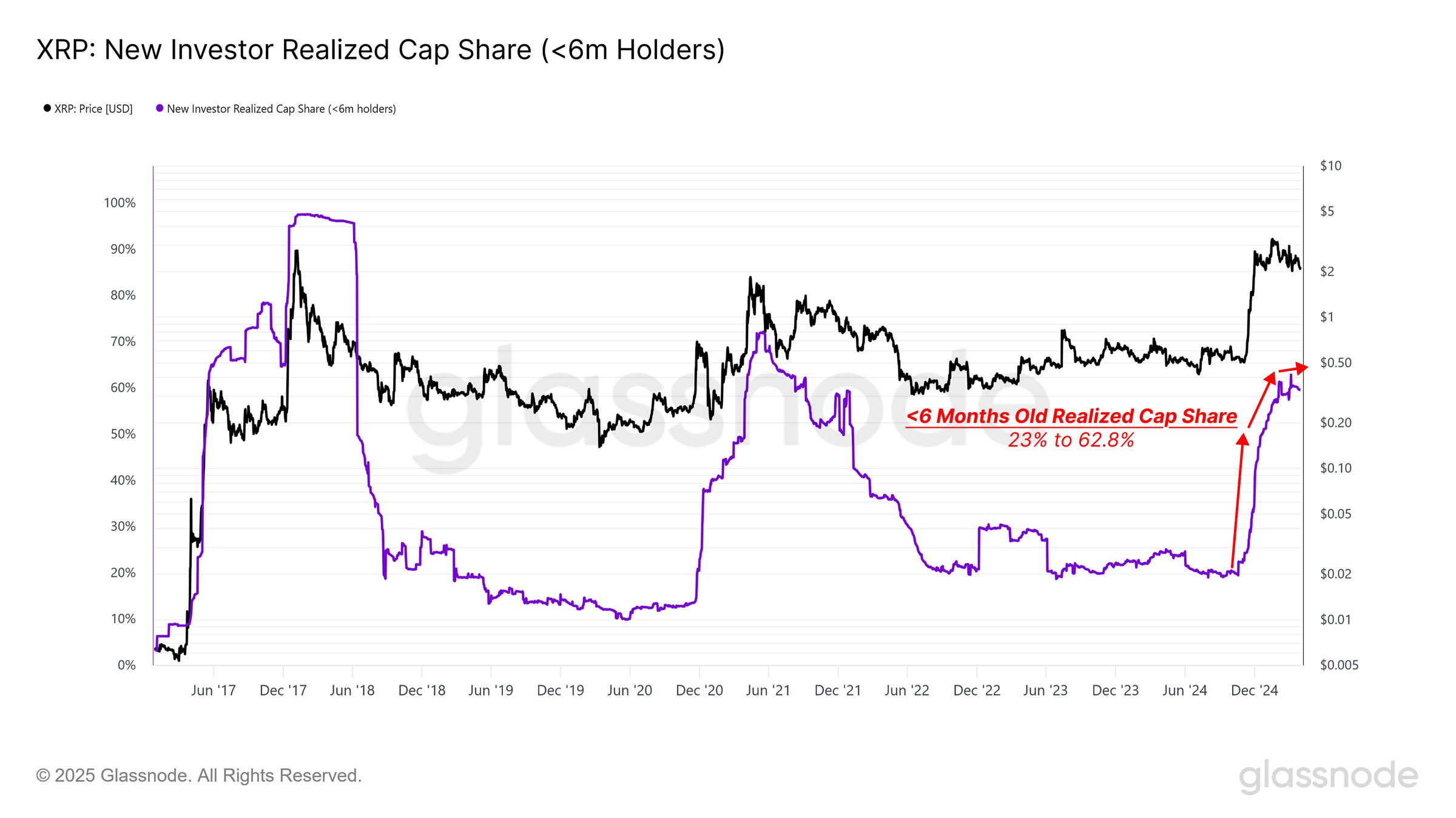 XRP New Investors