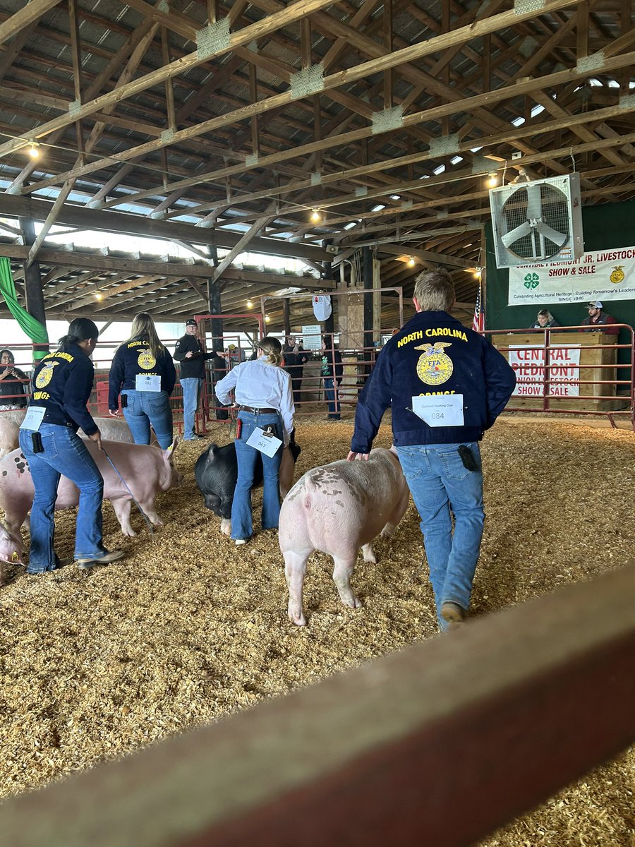 Shannon Braxton (@shannonbraxton6) on Twitter photo Piedmont Jr Livestock Show today! <a href="/OrangeCoSchools/">OrangeCountySchools</a> students showing hogs this morning. <a href="/OCSCTE/">🍊Orange County Schools CTE</a> Piedmont Jr Livestock Show today! <a href="/OrangeCoSchools/">OrangeCountySchools</a> students showing hogs this morning. <a href="/OCSCTE/">🍊Orange County Schools CTE</a>