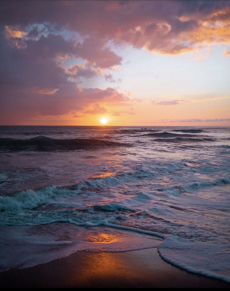 Aesthetics (@aestheticspost_) on Twitter photo 