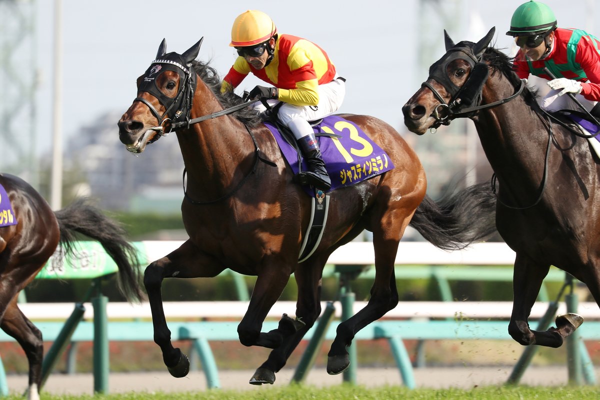 絆✨ジャスティンミラノ✨絆【デビューからクラシック軌跡】 ジャスティンミラノ