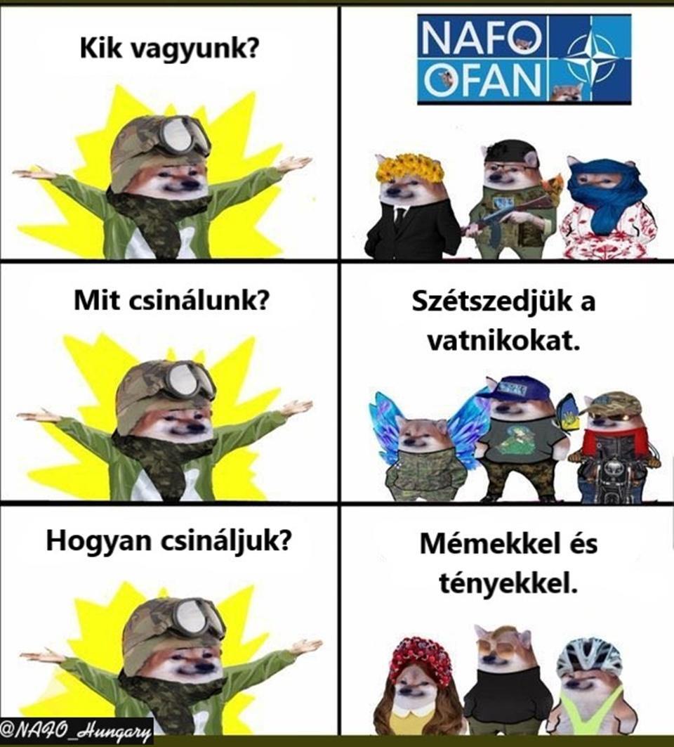 NAFO_Hungary's tweet photo. 💥 💥 Nafo kisokos - dióhéjban. ;) 💥 💥
#Stand_with_Ukraine https://t.co/H4ytKjSvS3