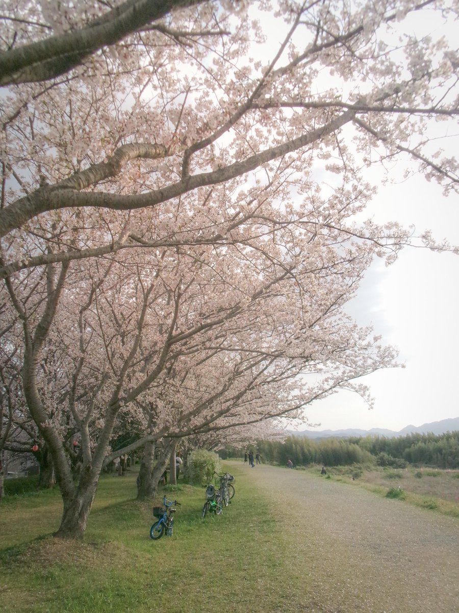 CameraMaco's tweet photo. また、ぼちぼち更新しよか。
ご無沙汰してます
Threadsに力いれてました😊
#Kodak  #Kodakfz55 https://t.co/Is8ofO1vEx