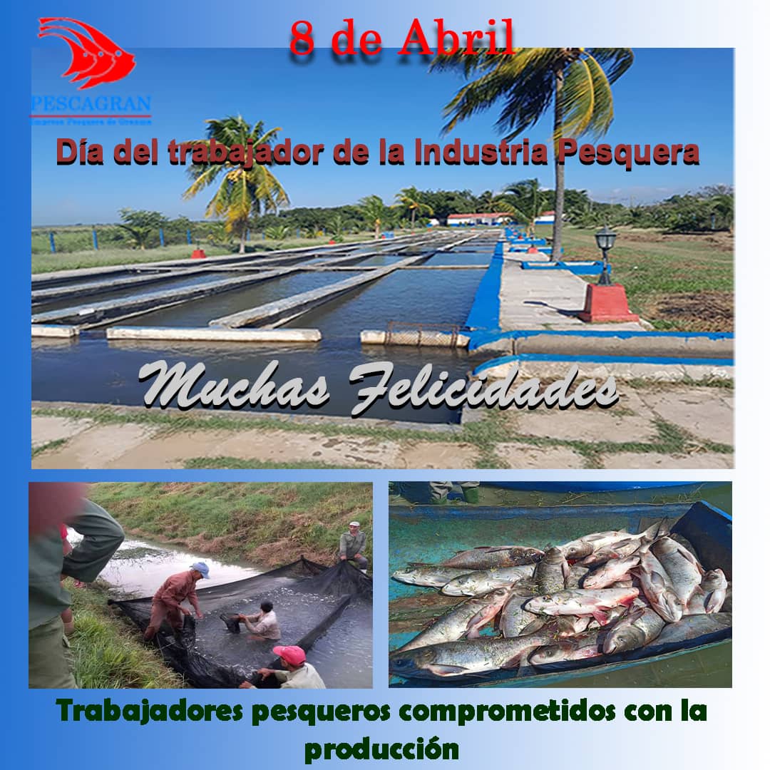 Feliz día para todos por el Día del Trabajador de la Industria Pesquera