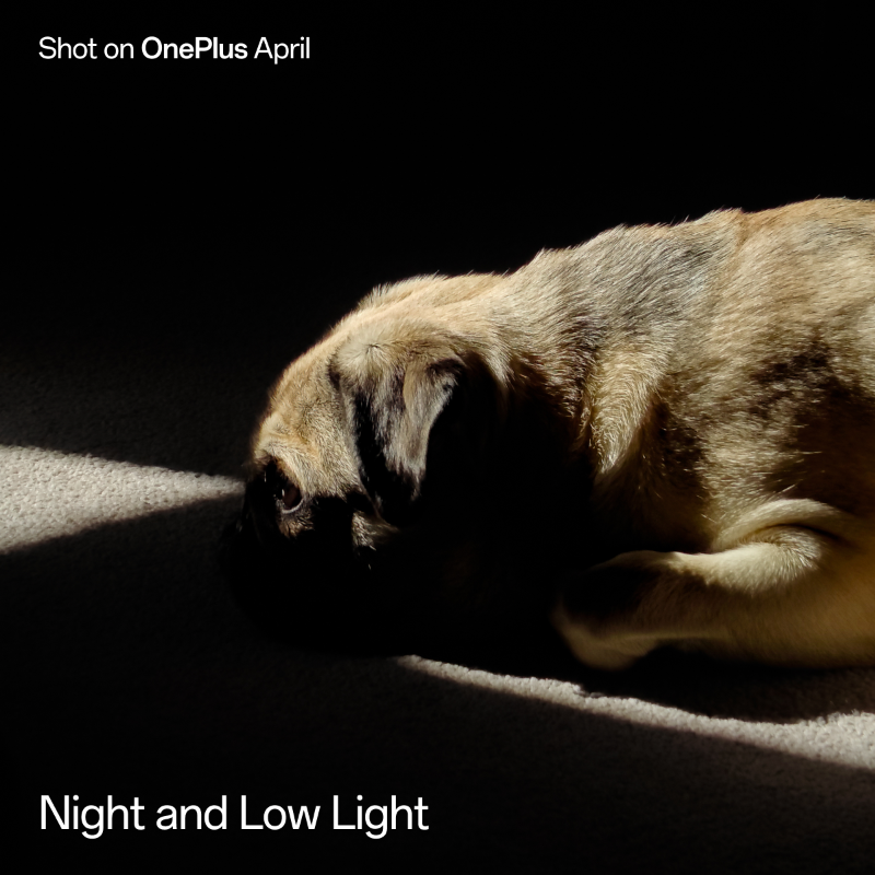 oneplus's tweet photo. April's #ShotonOnePlus theme is Night and Low Light. Share it on the Community forum to get shortlisted for #OnePlusPhotographyAwards and a chance to win $10,000.