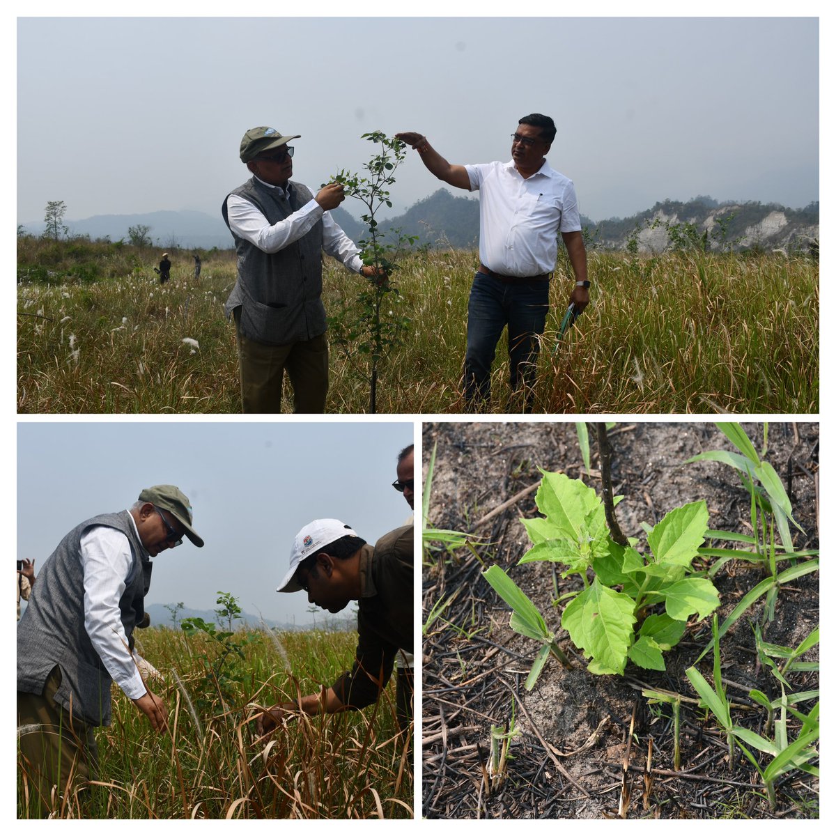 Sunnydeo Choudhary, IFS tweet media