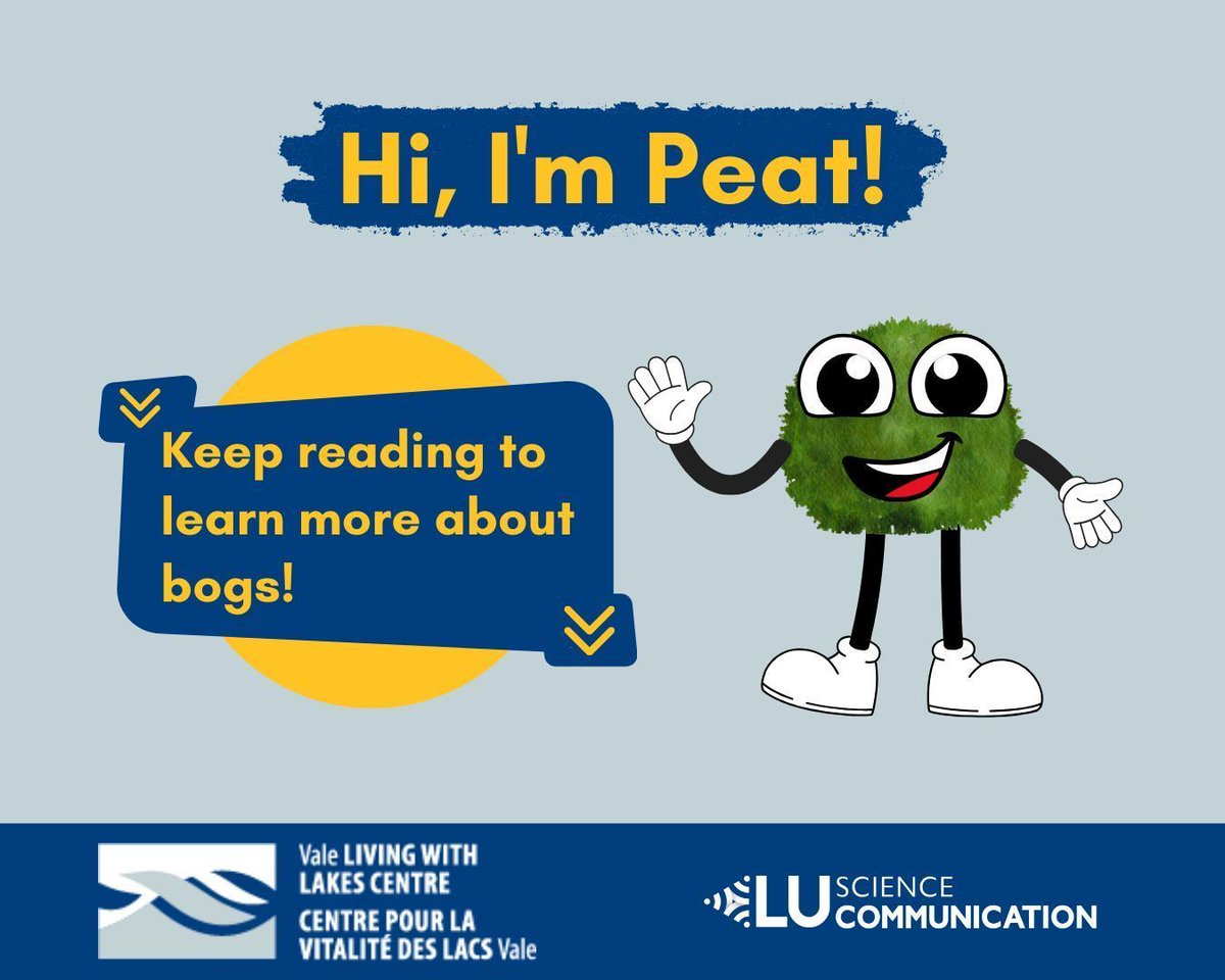 LivingwithLakes's tweet image. DYK #bogs are the most common type of #wetland in Canada. These soggy spots are typically dominated by #Sphagnum mosses.

1/6