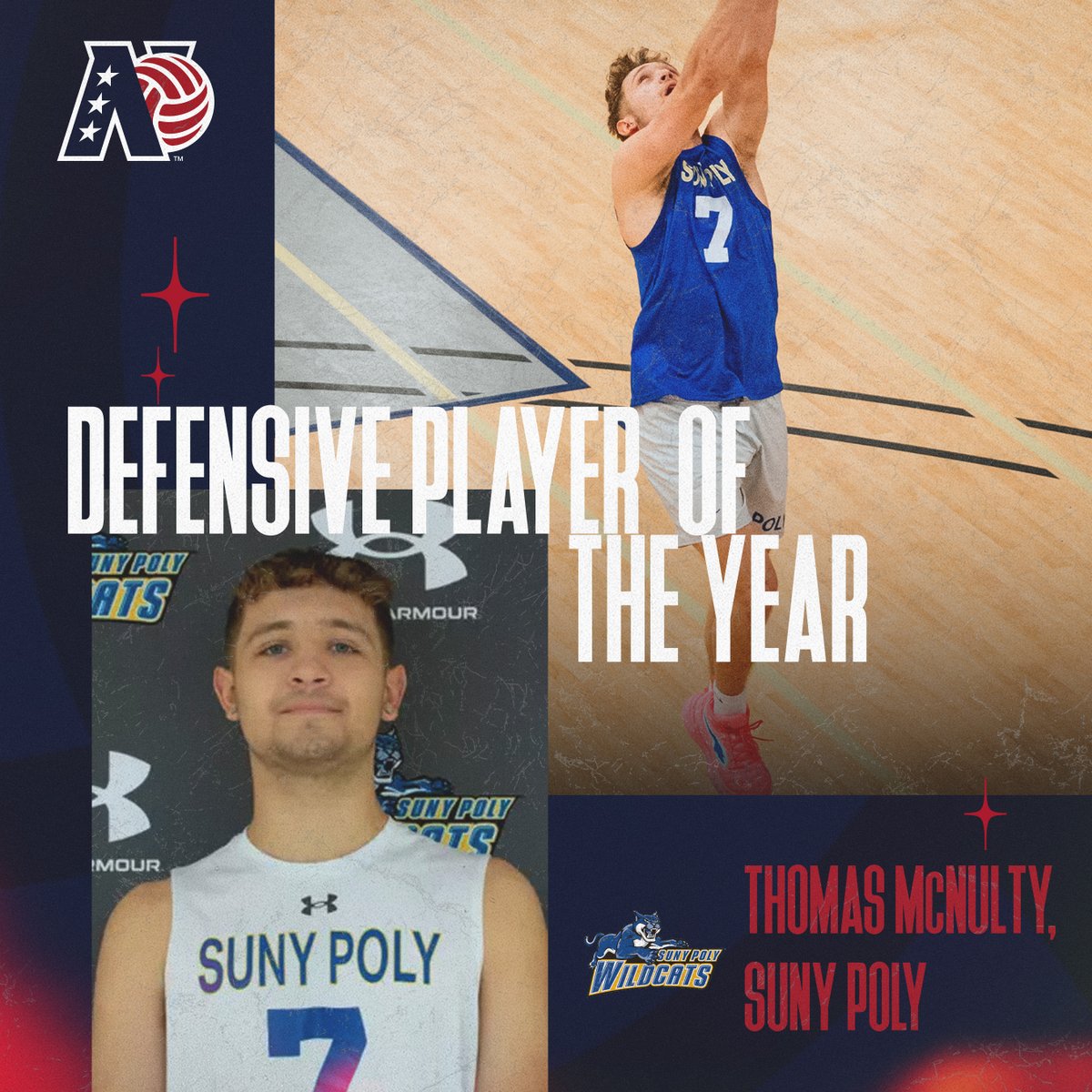 New England Volleyball Conference tweet media