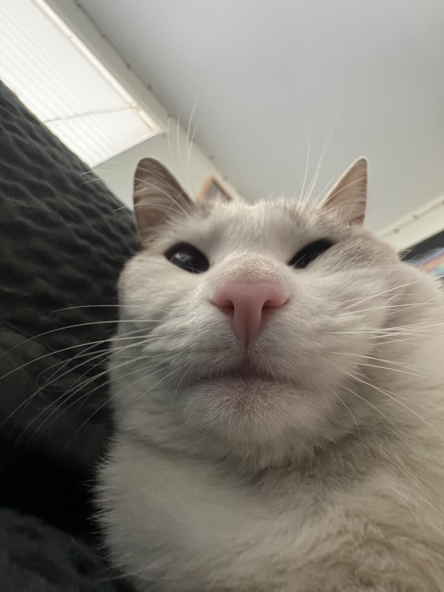 Angel70890328's tweet photo. Streaming Planet Zoo, Sims 4 and Minecraft on Twitch right now!! https://t.co/mjtszCgR1I
#twitch #twitchstreamer #planetzoo #sims4 #minecraft https://t.co/rw6vtYsPaM