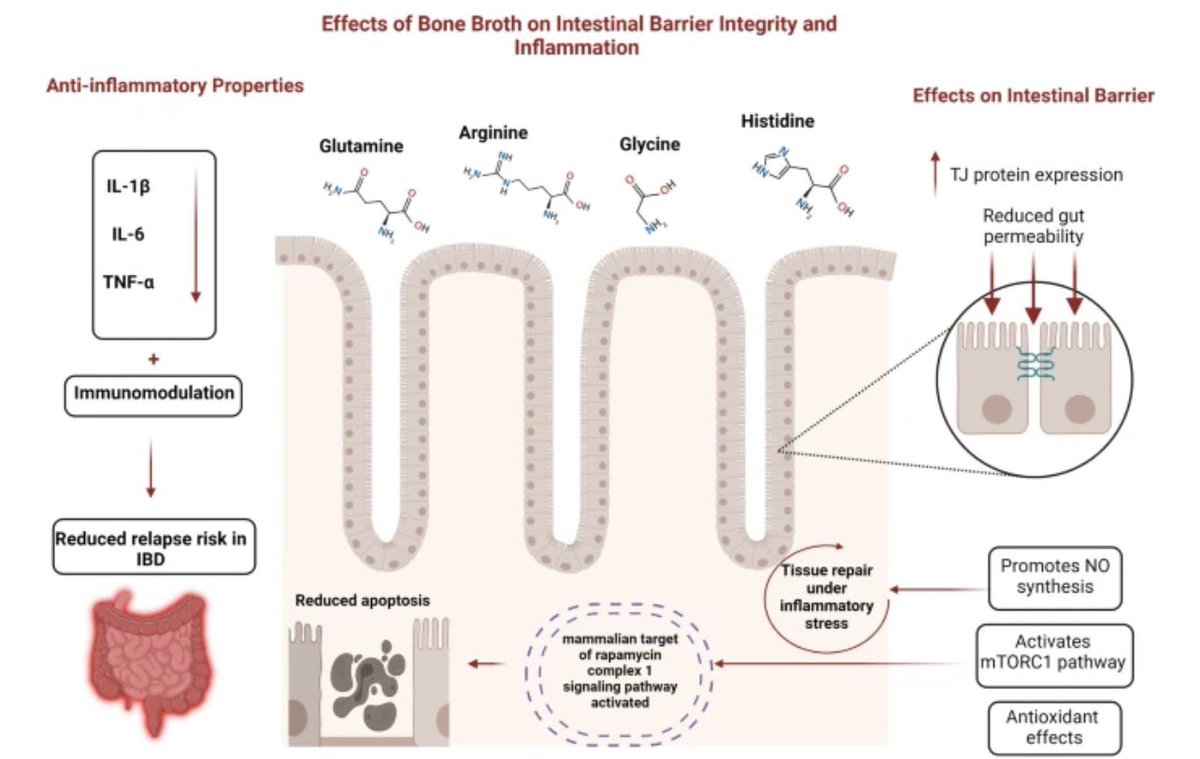 Ayah Matar, MD tweet media