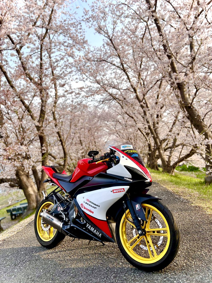 180_bb's tweet photo. 2025年も🌸と撮れました🫡

#桜スポット
#桜🌸
#和歌山 https://t.co/zZt1tKnIfs