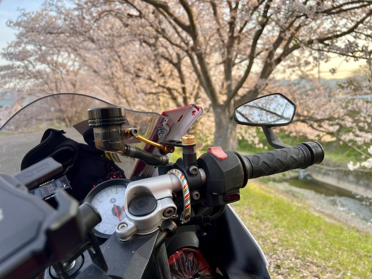 180_bb's tweet photo. 2025年も🌸と撮れました🫡

#桜スポット
#桜🌸
#和歌山 https://t.co/zZt1tKnIfs