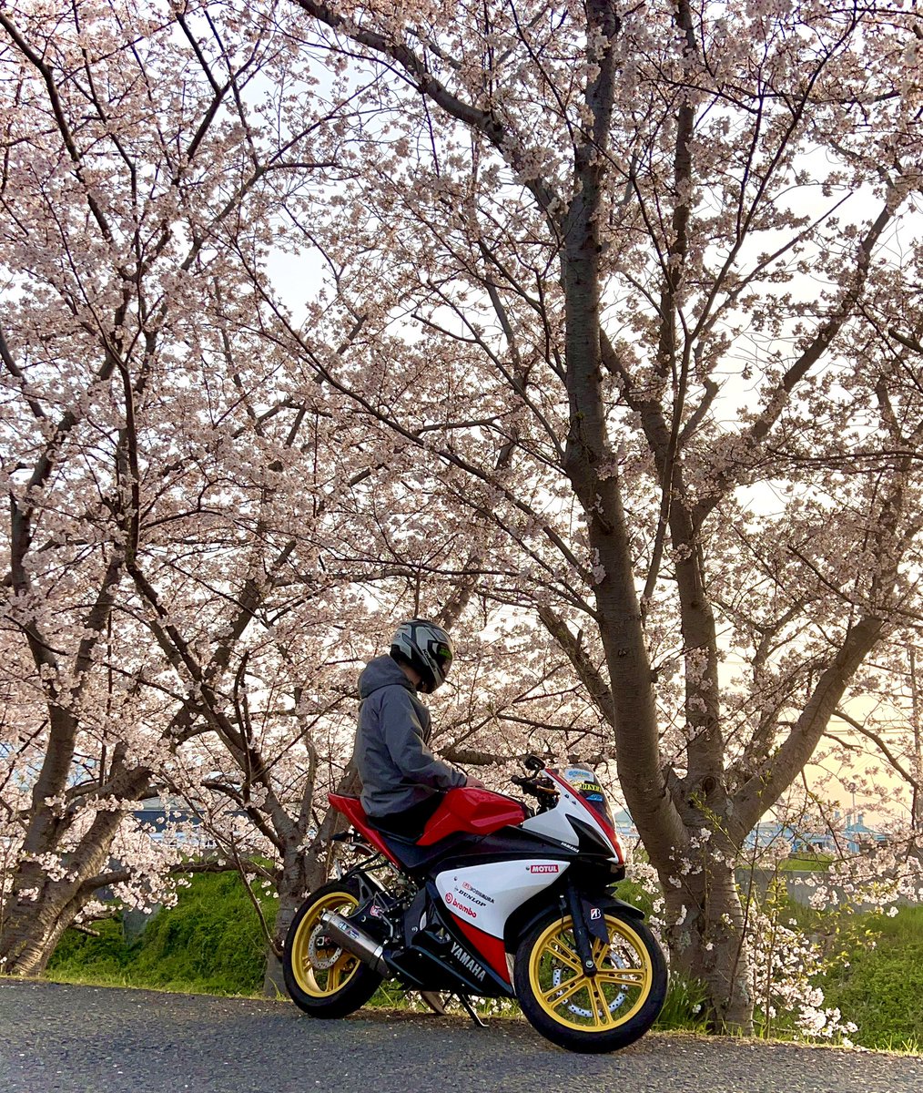 180_bb's tweet photo. 2025年も🌸と撮れました🫡

#桜スポット
#桜🌸
#和歌山 https://t.co/zZt1tKnIfs