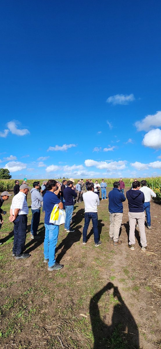 JonatanMauro1's tweet photo. #CampoLider @CeresTolvas  🧨Estrategias de manejo de híbridos, fechas de siembra y estrategias de fertilización @EstudioEdm
Manejo de principales adversidades malezas @JuanPabMart 
Herramientas @Syngenta_ar para su control 🌱🌿

#Elumis
#Acuron 
#Manejoderesistecia https://t.co/r63T7zsn3J