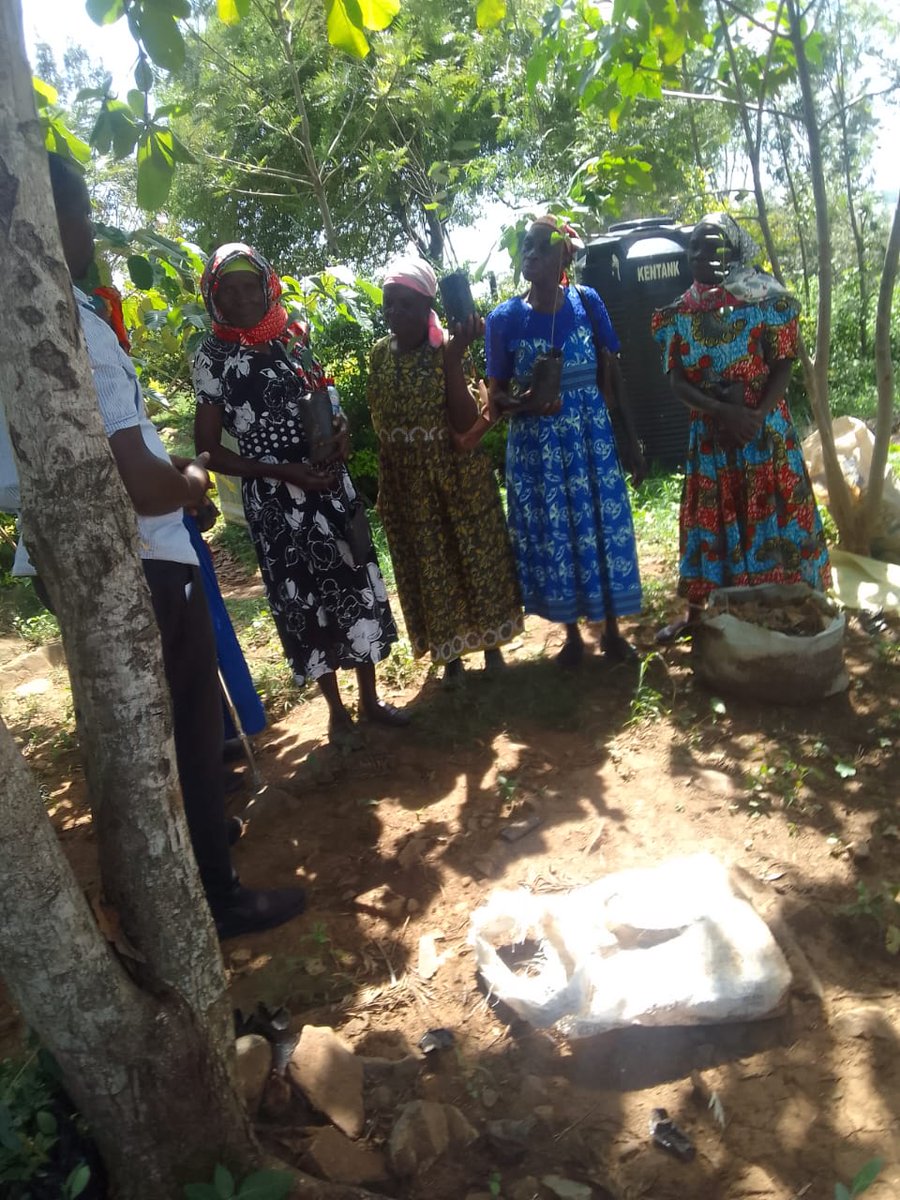 RonaFoundation's tweet image. Planting seeds of change because widows deserve more than survival—they deserve to thrive. In Wagoma Bondo, we supported 13 widow-led homes. 

In 2025, we support them to grow model farms for food security.  

#FoodSecurity #ClimateAction #VoiceToAction