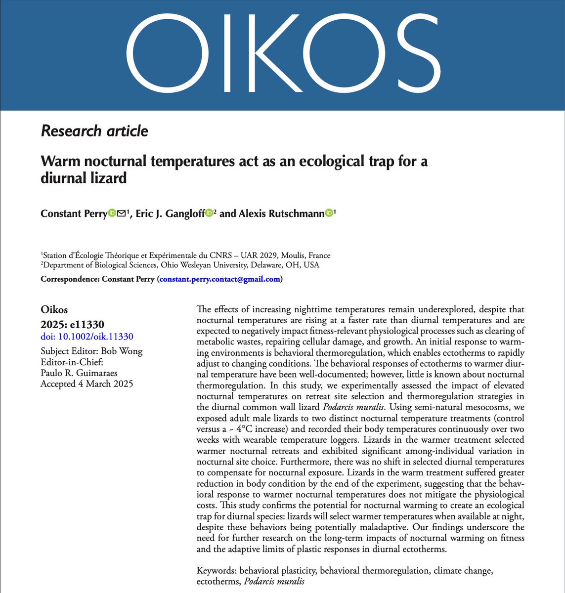 Constant Perry tweet media