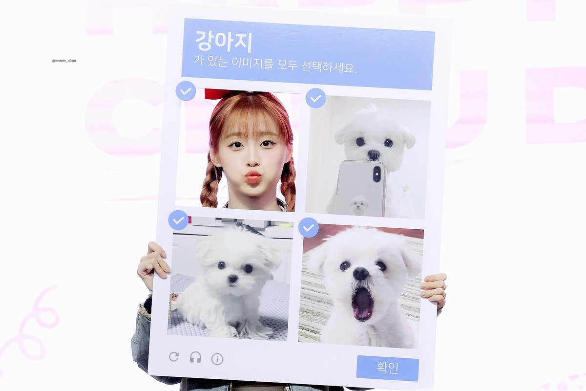 jiwoobbo's tweet photo. 어라라!! https://t.co/TAOmZKKPrN
