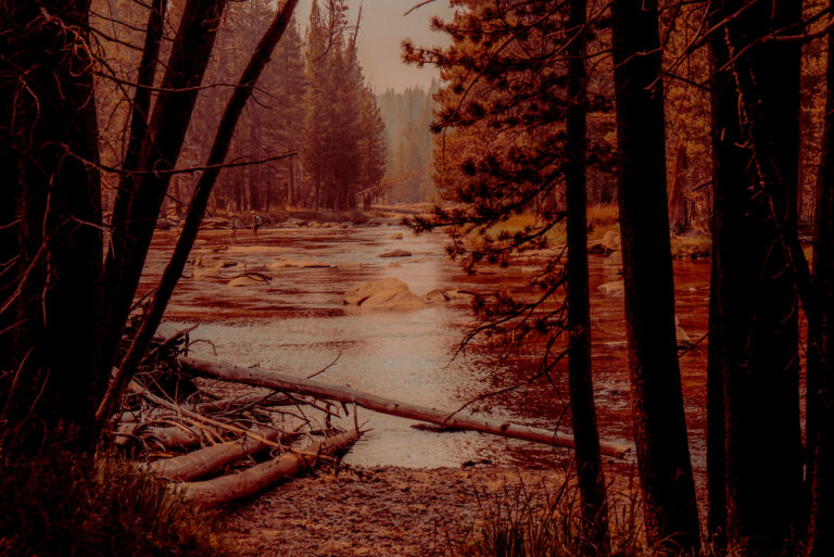 SevenPonds tweet media