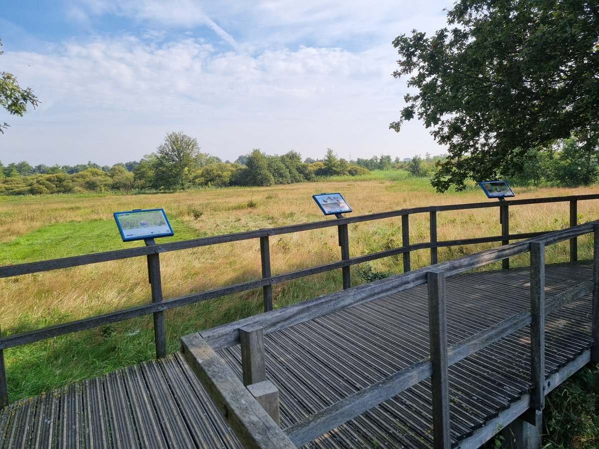 Maar liefst 13 van de 52 natuurtypen verslechteren in Nederland. Die verslechteringen zien we vooral op papier - volgens gegevens die NL aanleverde in Brussel - niet in het veld. Waarom in ons land dan de suggestie gewekt dat het komt door stikstof?
stichtingagrifacts.nl/natuur-verslec…