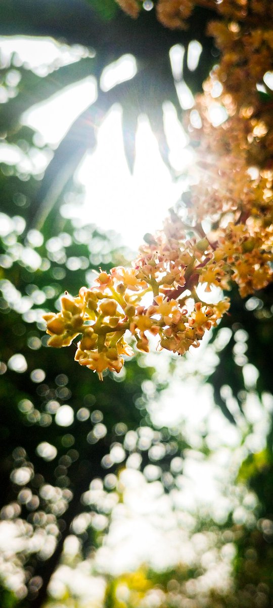 void_harshal's tweet image. 