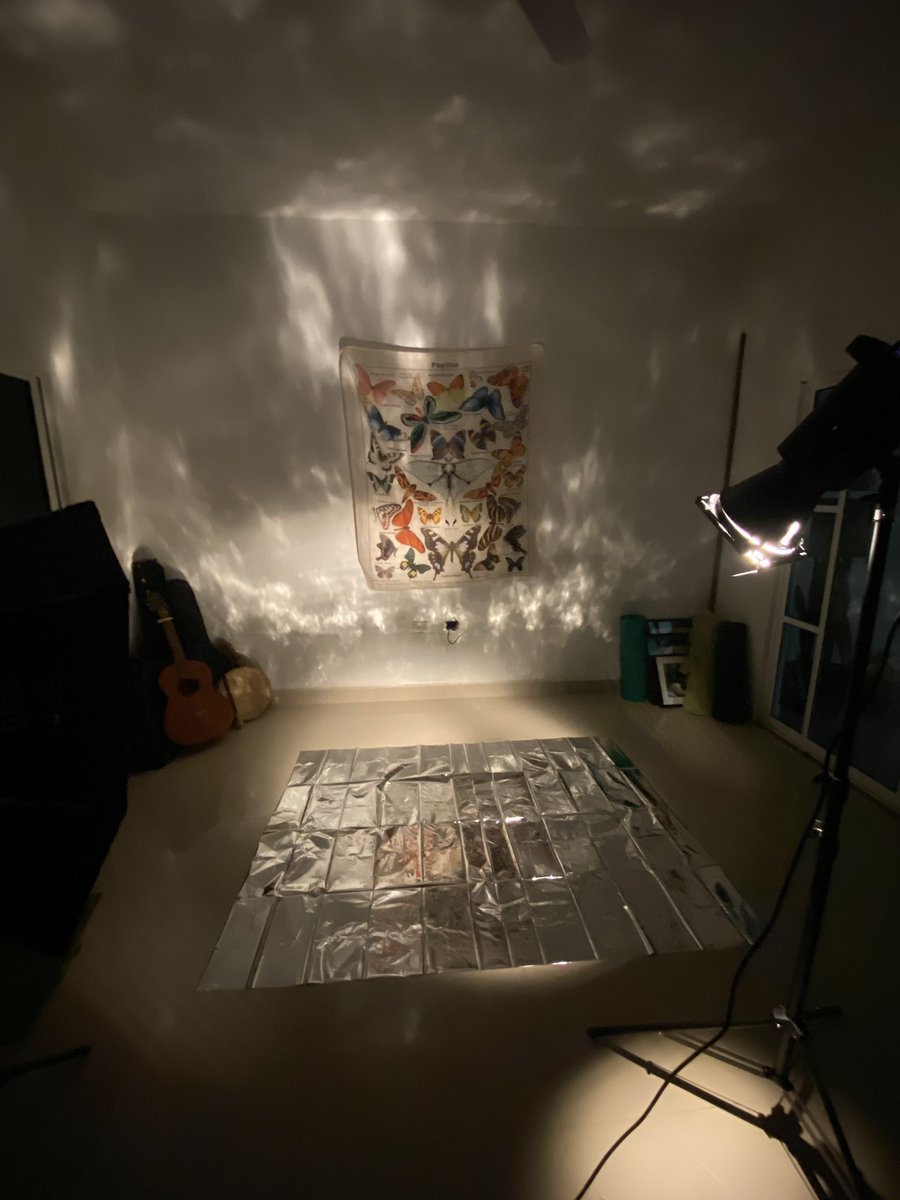 David__Rizo's tweet photo. Let’s do some shootings!

#FelizMartes #fashionphotography #photography #shooting #coblight #neewerlight https://t.co/hzrWFQmmld