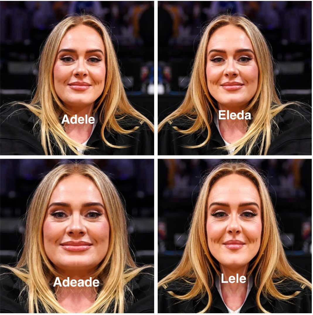 I decided to flip celebrity faces. Here’s part 5: <a href="/Adele/">Adele</a>