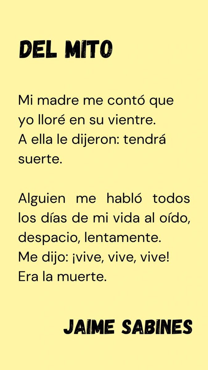 Citlally Brizuela tweet media