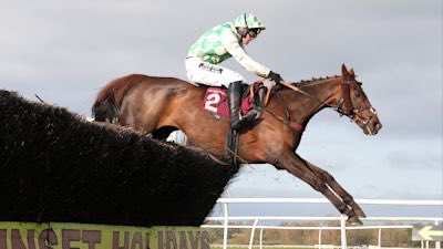 ProtectTheWild_'s tweet photo. Celebre D’Allen is dead. And the jockey who ignored the horse’s suffering has been given a 10-day ban. Just 10 days.

Michael Nolan was suspended after “continuing to ride when the horse clearly had no more to give.” Those are the regulator’s own words. https://t.co/4pP1fg9jWq
