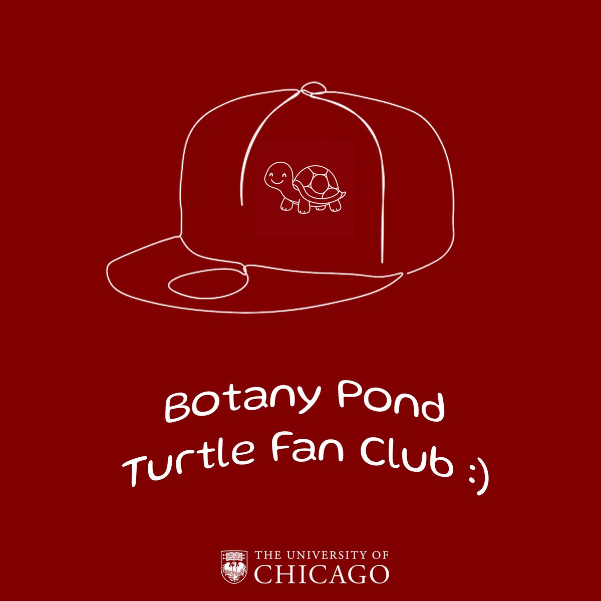 UChicago Admissions tweet media