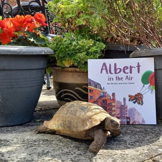 AlbertTortoise's tweet photo. Albert digs out of the #garden and goes on a #highflying #adventure in #ALBERTthetortoise #picturebook ALBERT IN THE AIR. #AvailableNow with 7 more ALBERT picturebooks, 3 #BoardBooks &amp; #ActivityBook https://t.co/sGYhBlFUhP
#tortoise #bookcover #illustration #bookseries #story https://t.co/YfkT5aAcEj