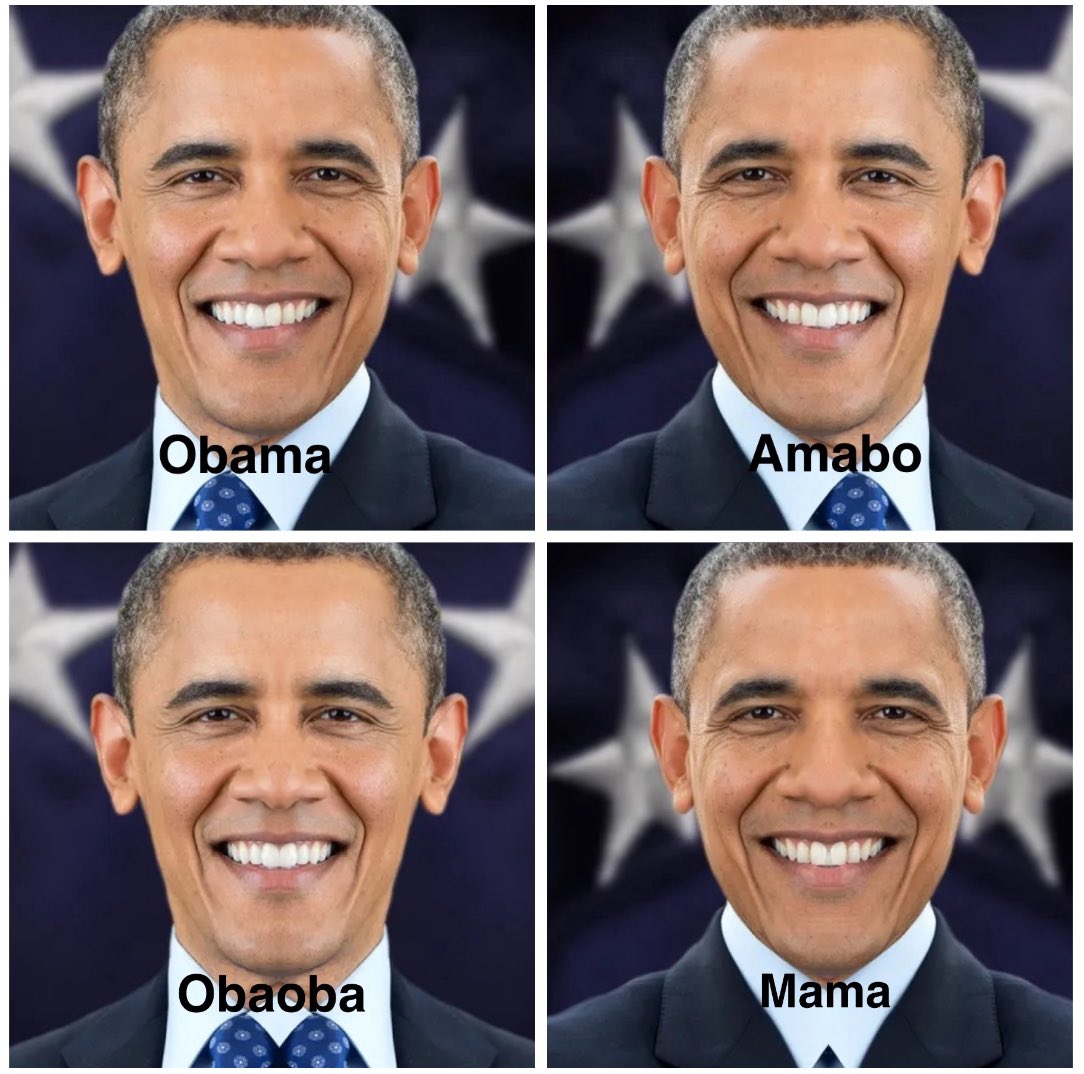 I decided to flip celebrity faces. Here’s part 3: <a href="/BarackObama/">Barack Obama</a>