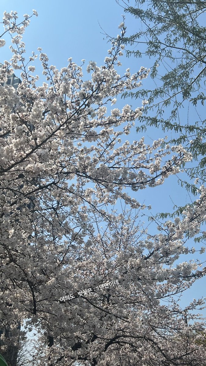 3piece_updates's tweet photo. ★ 080425
Iya's Instagram story update
#3piece #쓰리피스 #피어올라 #Light_up https://t.co/QwywDbjvO4