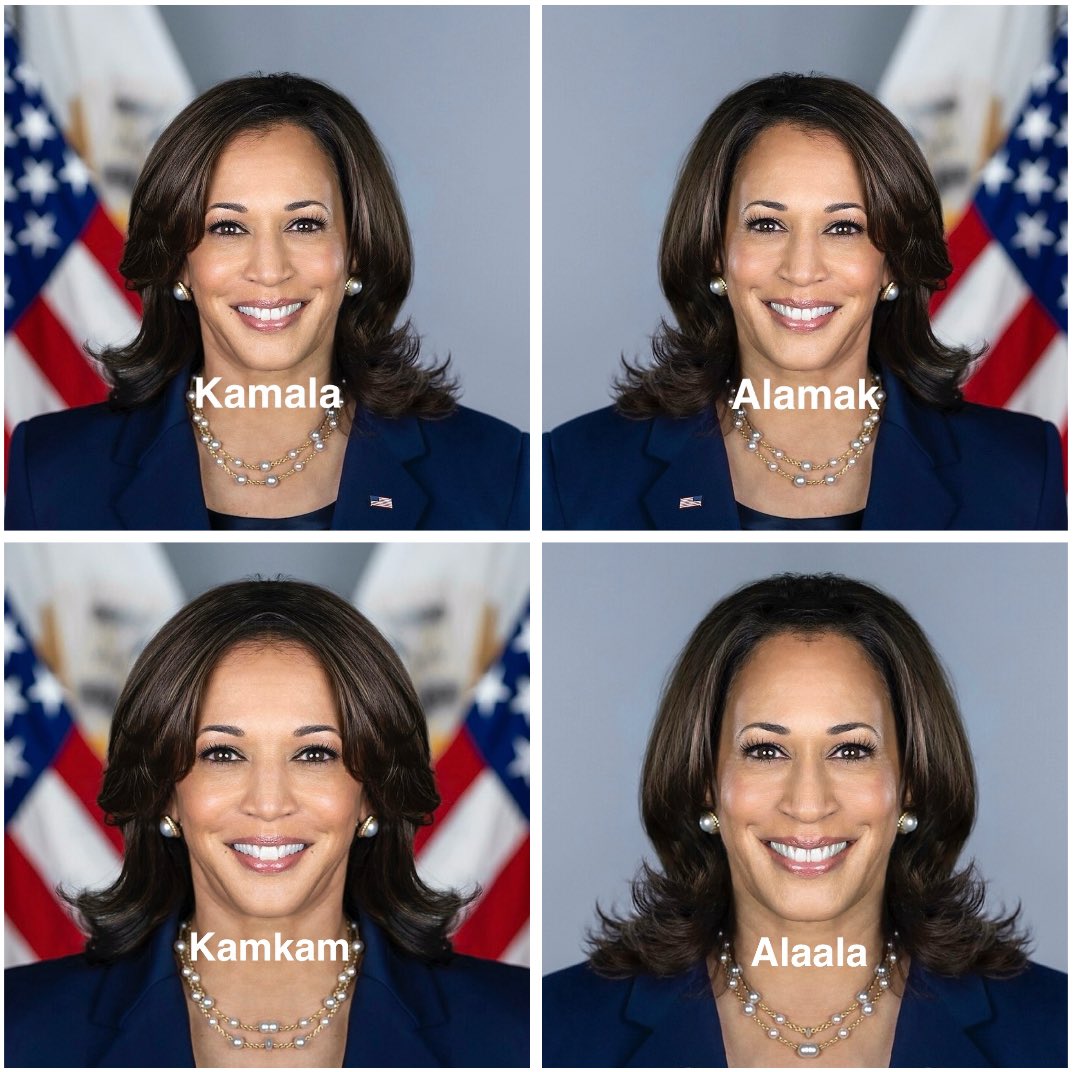 I decided to flip celebrity faces. Here’s part 4: <a href="/KamalaHarris/">Kamala Harris</a>