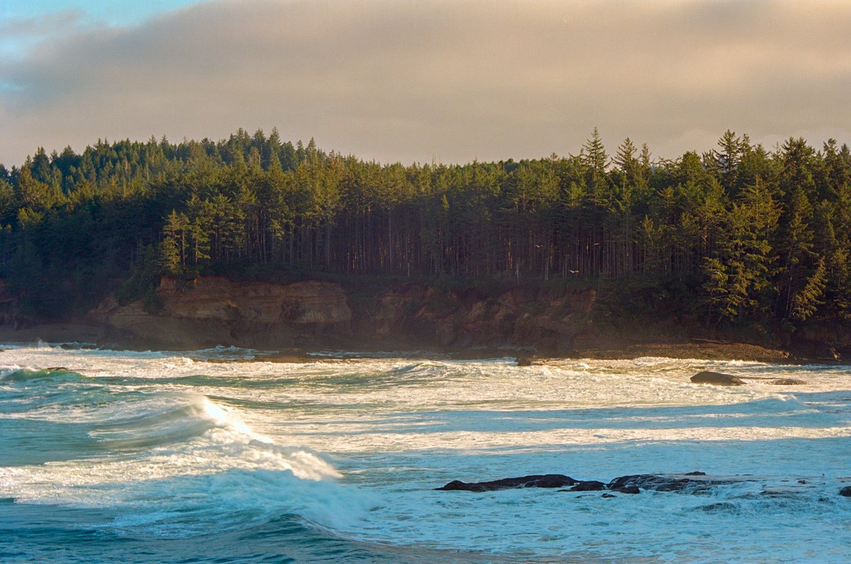 راشد tweet media