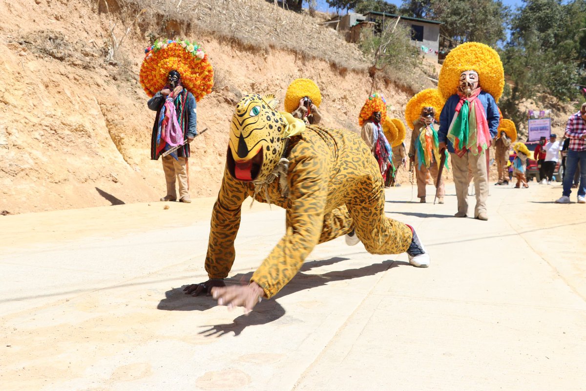 JGonzalezVarona's tweet photo. ¡Saludos desde estas tierras Surianas!🐆✨ https://t.co/U2M9kpBrsF