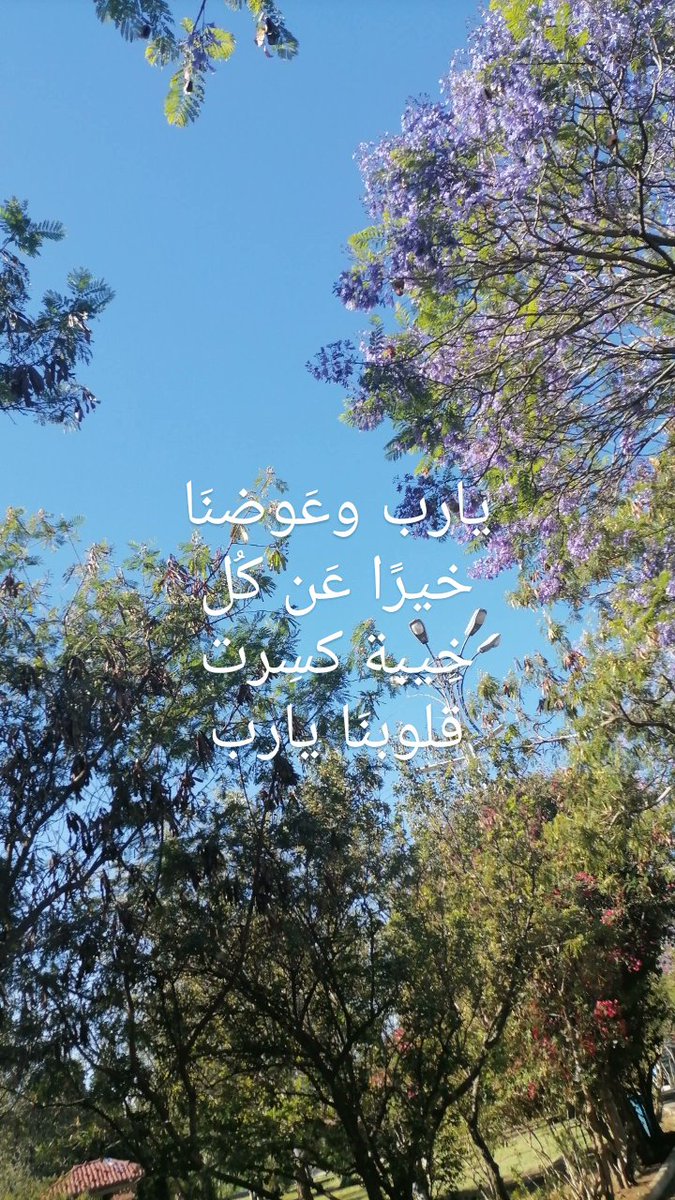يارب عَوضنَا خيرًا عَن كُل خِيبة كسِرت قلوبنَا يارب