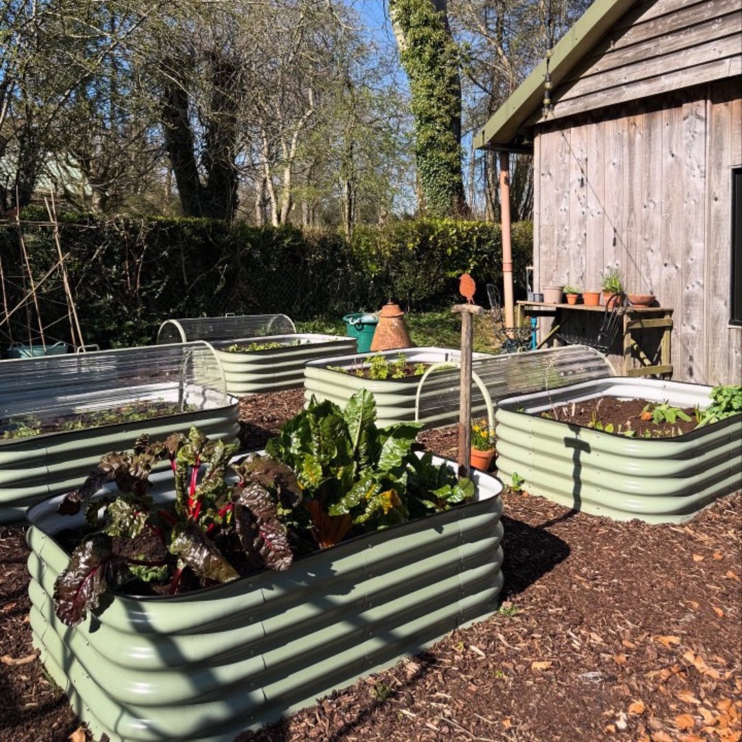 HarrodHort's tweet photo. Our 4-in-1 Modular Raised Beds offer beautiful flexibility for growing your own. They’re designed to adapt to your space and planting needs 💚 https://t.co/A4tcWVrQPz