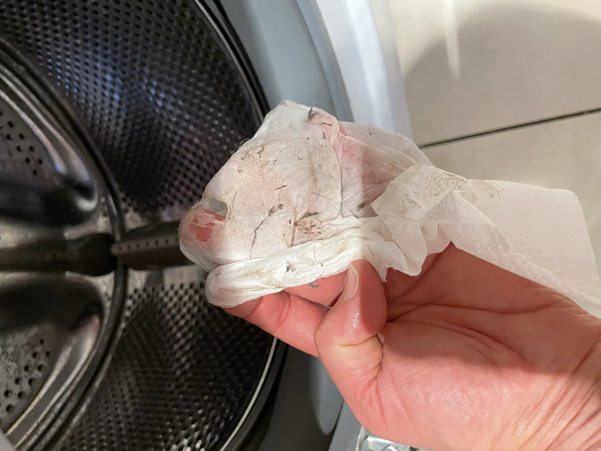 ConsortCourtW8's tweet photo. Renting from @Hamptons1869 think again!
Lied about of the amount of #noise
The conditions the flat was handed over. Dirty, broken shelves &amp; furniture, leaking bath, broken tap and the worse Dogde wires got electrocuted 
Worse agency ever
#W8 #kensington #london #wrightslane #UK https://t.co/Lgt8TfQxrm