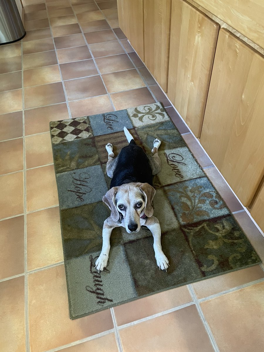 Maggie May and Angel Sisfur 😇 Lucy Lu 🌈💔 tweet media