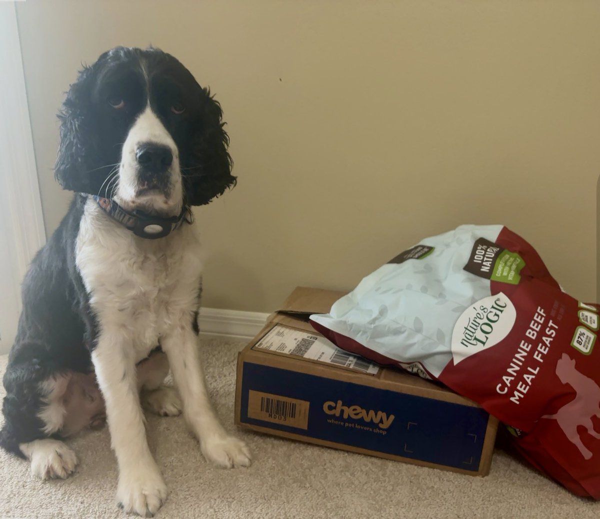 OreoESS1's tweet image. Love my @Chewy deliveries @NaturesLogic