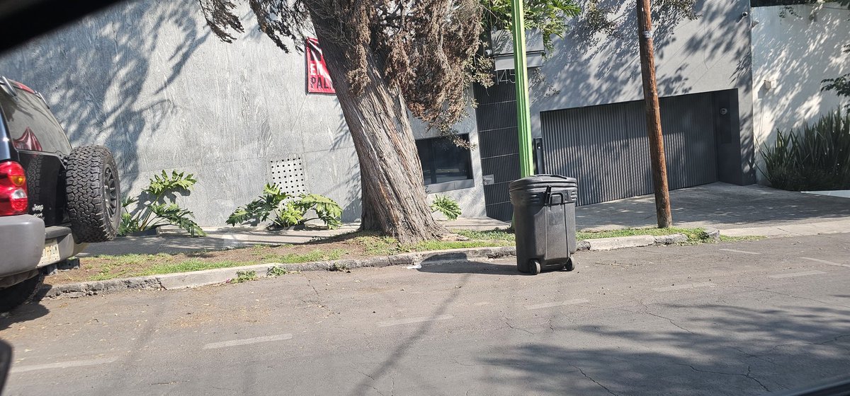 MauBocanegra tweet media