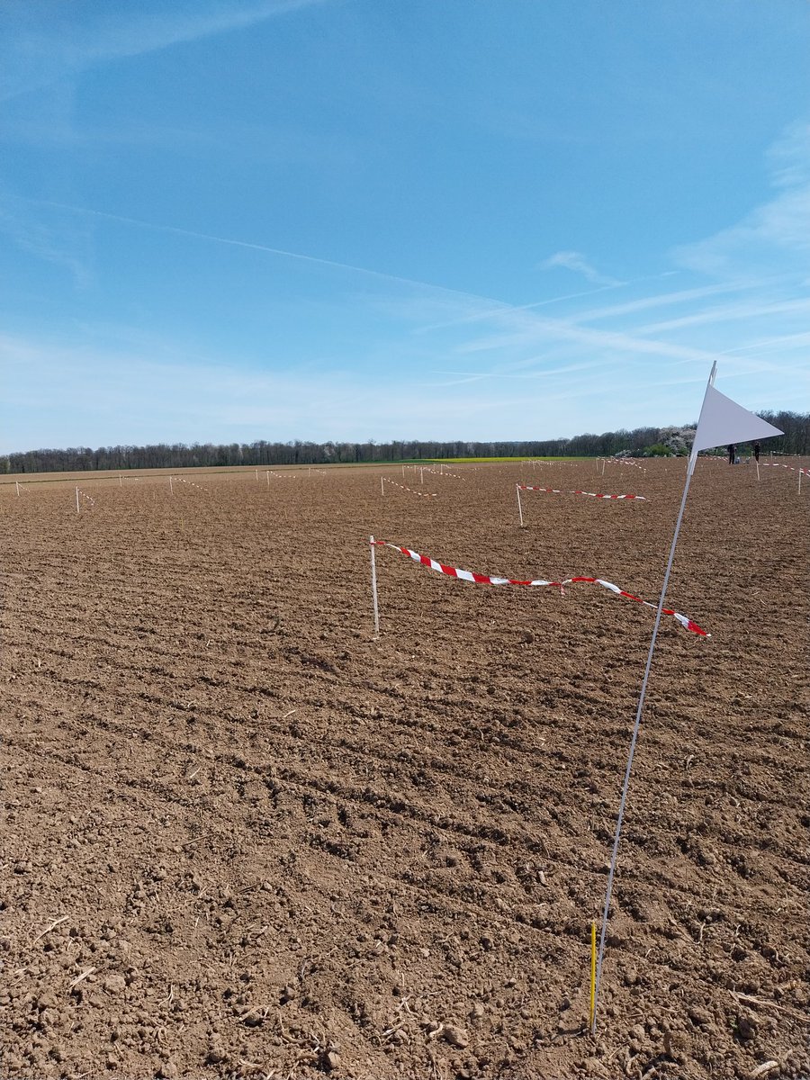 Aujourd'hui avec <a href="/COLINDa56726892/">COLIN David Terres Inovia</a> c'était début de semis des essais #tournesols 🌻<a href="/terresinovia/">Terres Inovia</a> 1er systeme d'effaroucheur pour les 🐦‍⬛ et 🤞pour un peu de 🌧 semaine prochaine 😀 #ceuxquifontlesessais