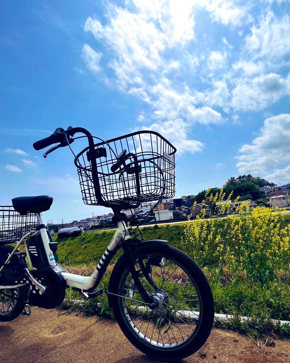 shachounosuke's tweet photo. 愛車2号💨 https://t.co/AHG2bIo8gt