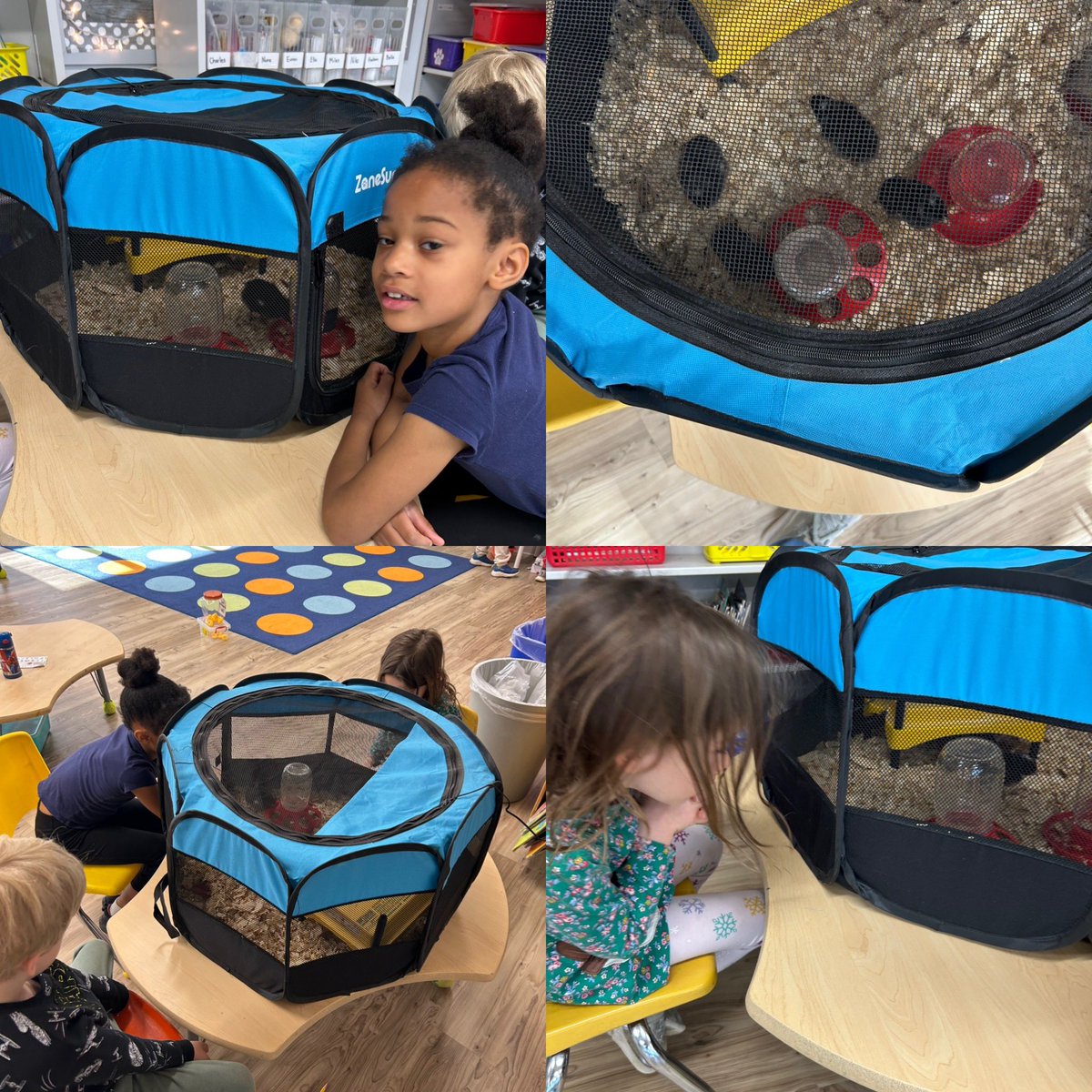 Mrs. Howard tweet media