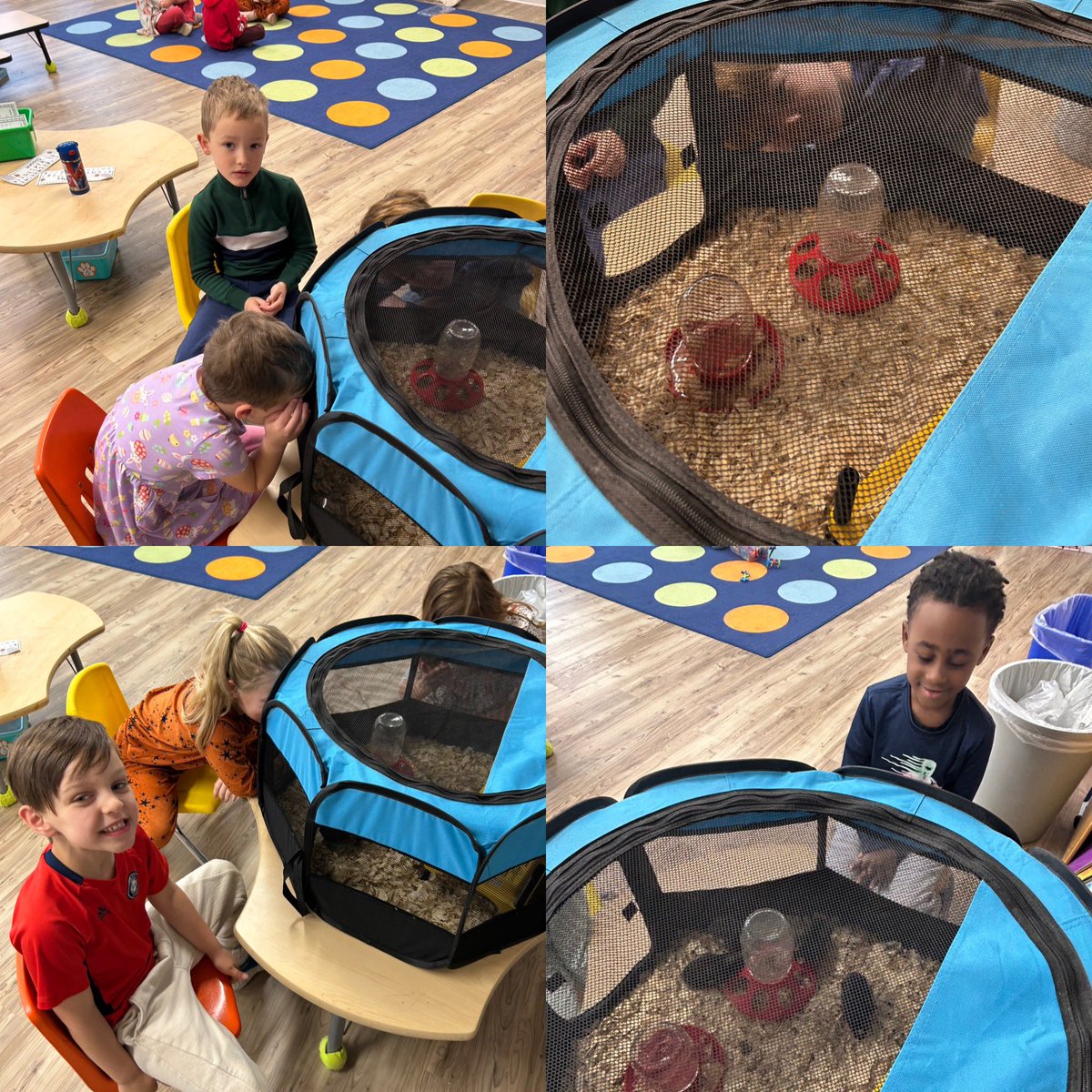 Mrs. Howard tweet media