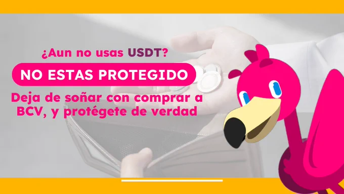 Image from Ibis (@usaibis)
