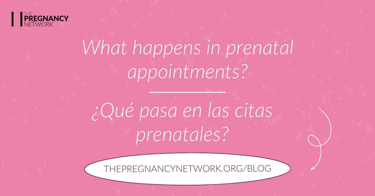 Making decisions about prenatal care can be overwhelming. We've got you covered. We wrote a guide for all three trimesters! Read here: thepregnancynetwork.org/blog
