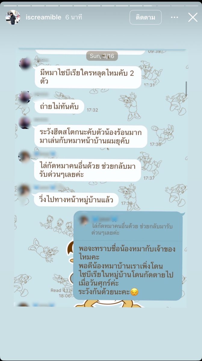 🎀🐰🌹🐻🐸🐶🐈‍⬛🐬 tweet media