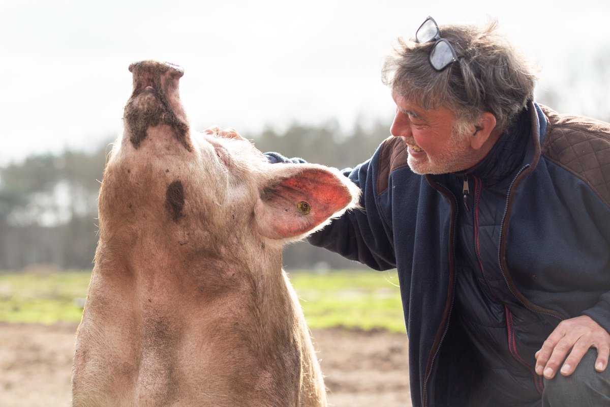 Kees Scheepens (@keesscheep) on Twitter photo Manifest van een varkensfluisteraar
Ik ben een hoeder, een varkensfluisteraar, een boer die leeft vanuit agape - liefde die niets terugverwacht.
Mijn missie is het emanciperen van het varken, in het grote geheel van mens, dier en aarde.  Please RT gofund.me/7acbb89b Manifest van een varkensfluisteraar
Ik ben een hoeder, een varkensfluisteraar, een boer die leeft vanuit agape - liefde die niets terugverwacht.
Mijn missie is het emanciperen van het varken, in het grote geheel van mens, dier en aarde.  Please RT gofund.me/7acbb89b